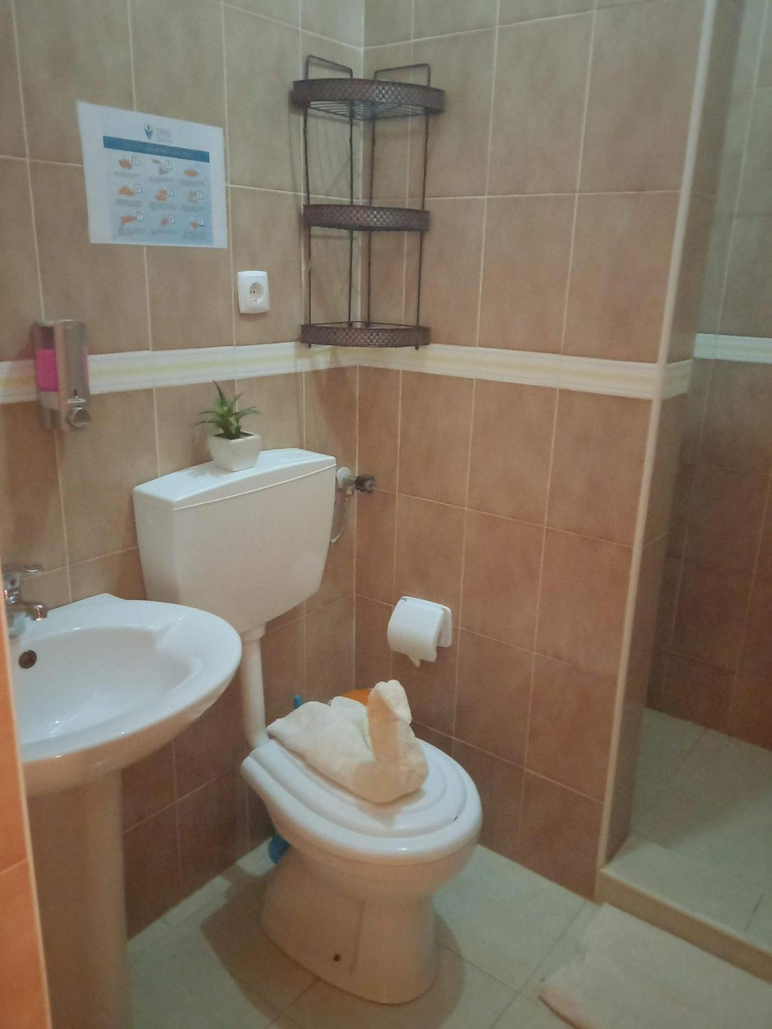 Residencial Rosa Criola Acomodação com café da manhã Sal Rei Exterior foto