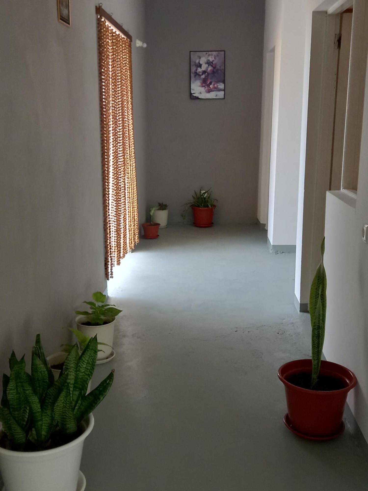 Residencial Rosa Criola Acomodação com café da manhã Sal Rei Exterior foto